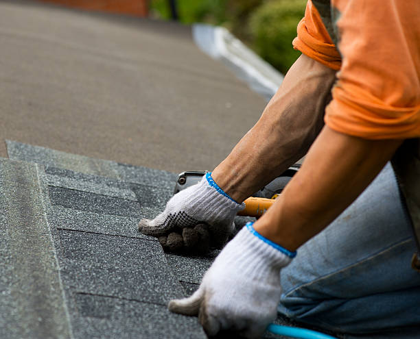 Best Best Roofing Contractors  in Carrollwood, FL